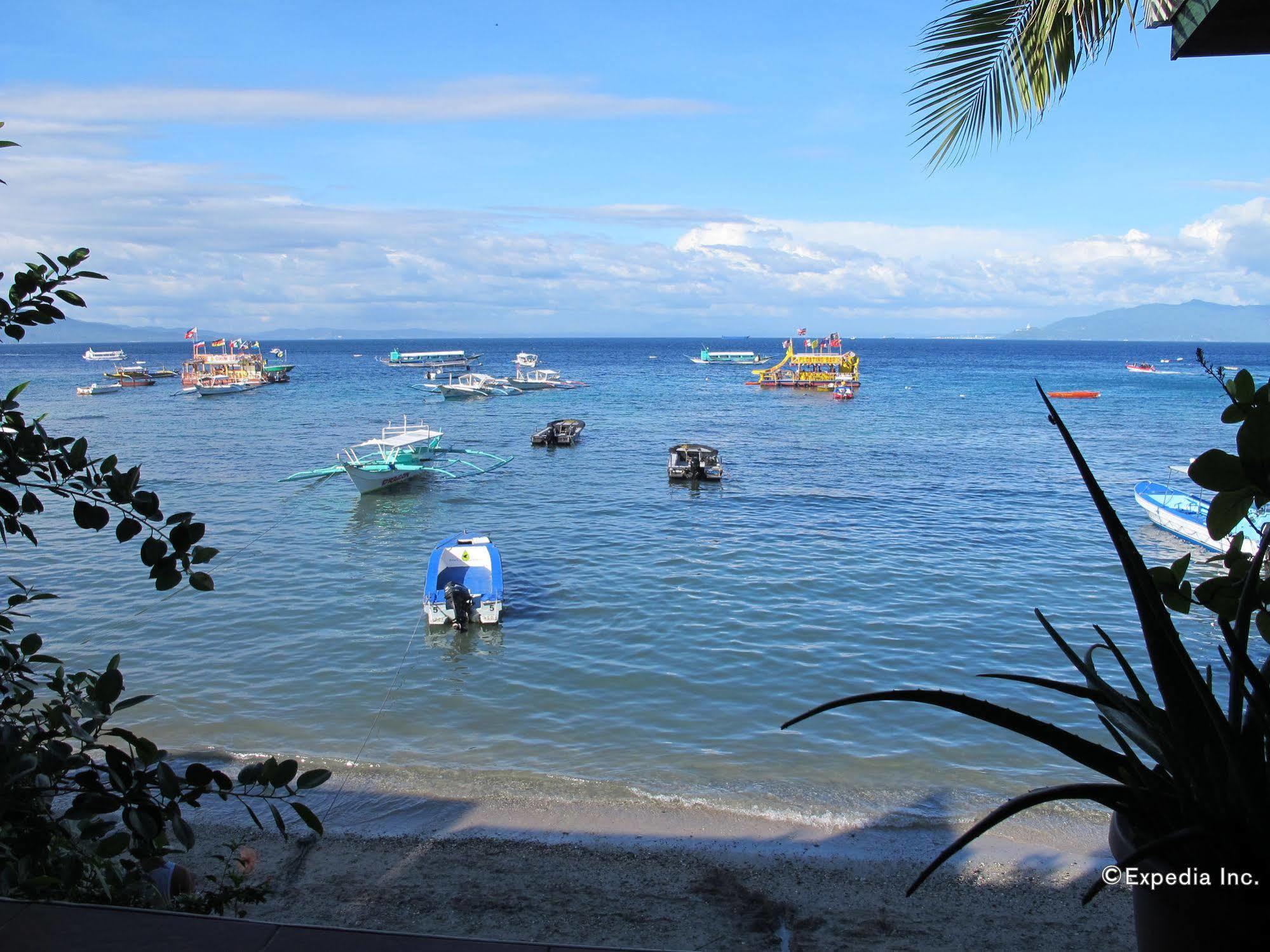 Captngreggs Dive Resort Puerto Galera Εξωτερικό φωτογραφία